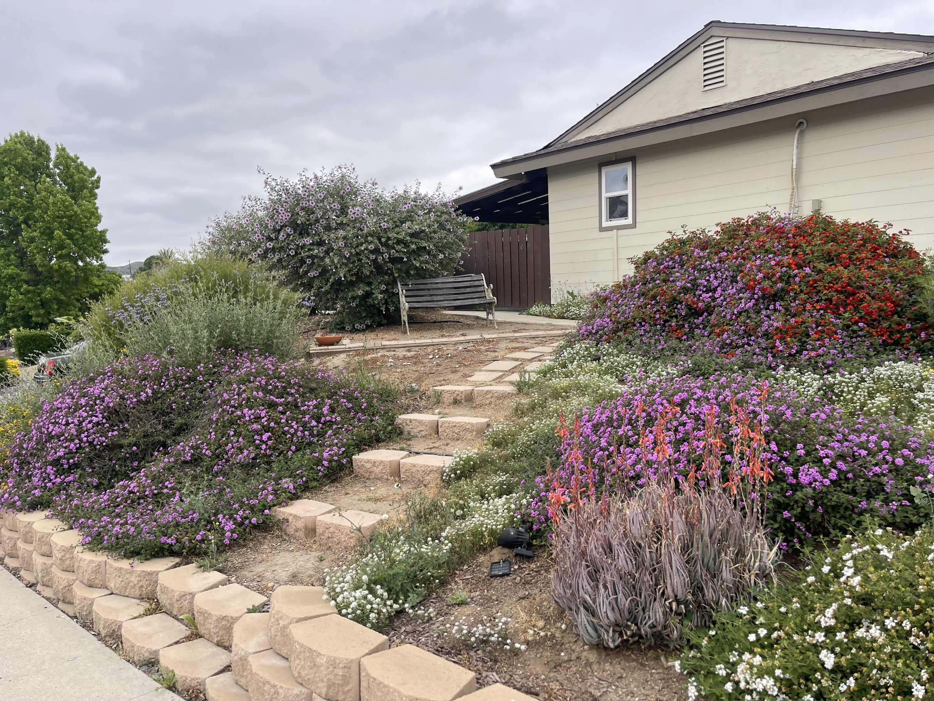 9556 1/2 Cecilwood Drive – photo 2
