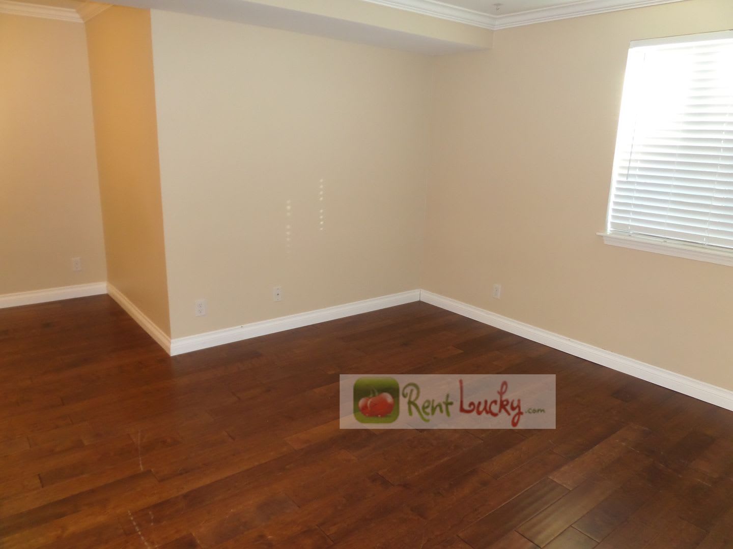 GREAT PRICE!! Super Cute Studio w/Parking in Fantastic Downtown Seattle Location!! – photo 5