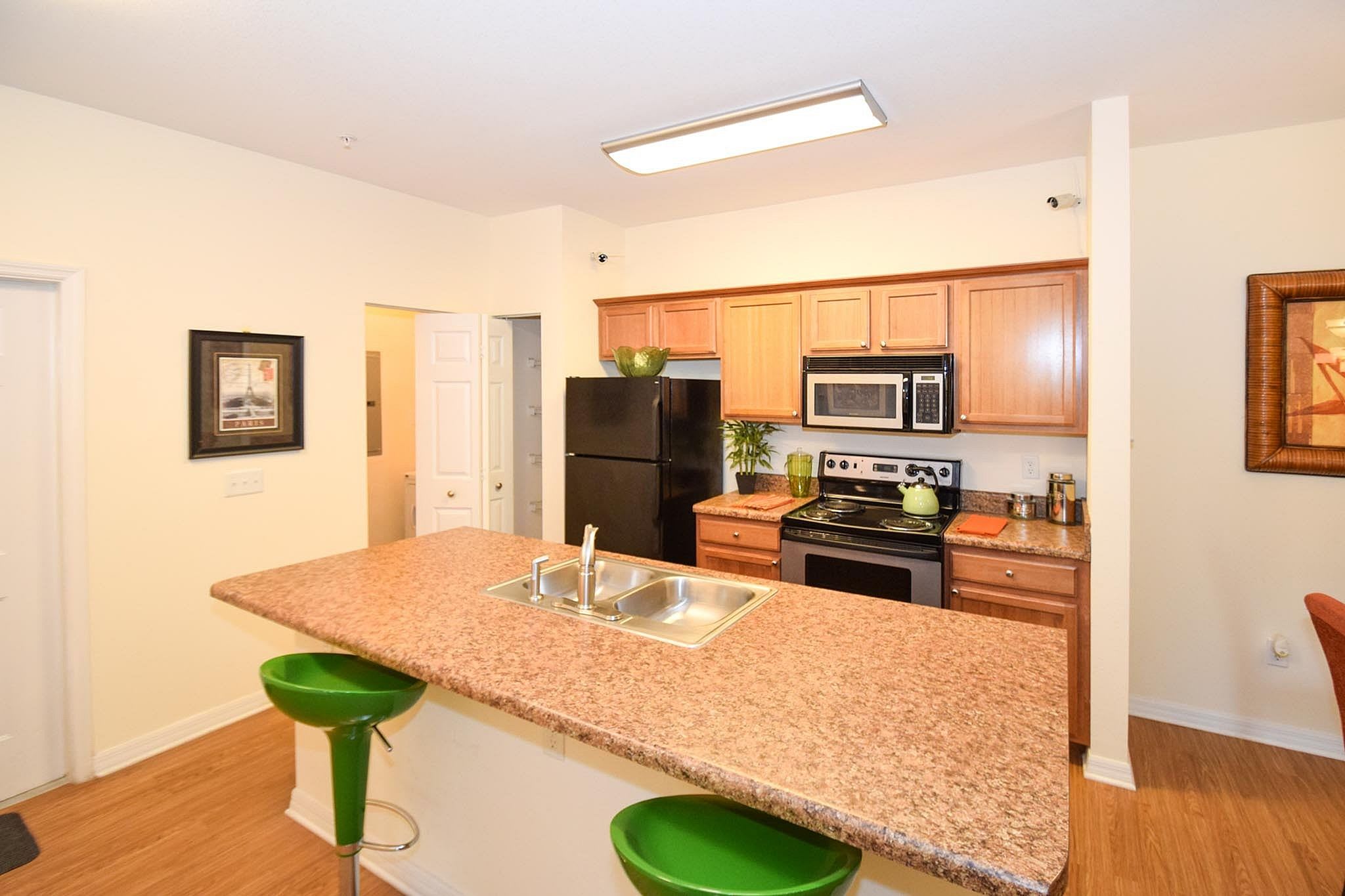 2809 Pine Creek Trail 1 – photo 2