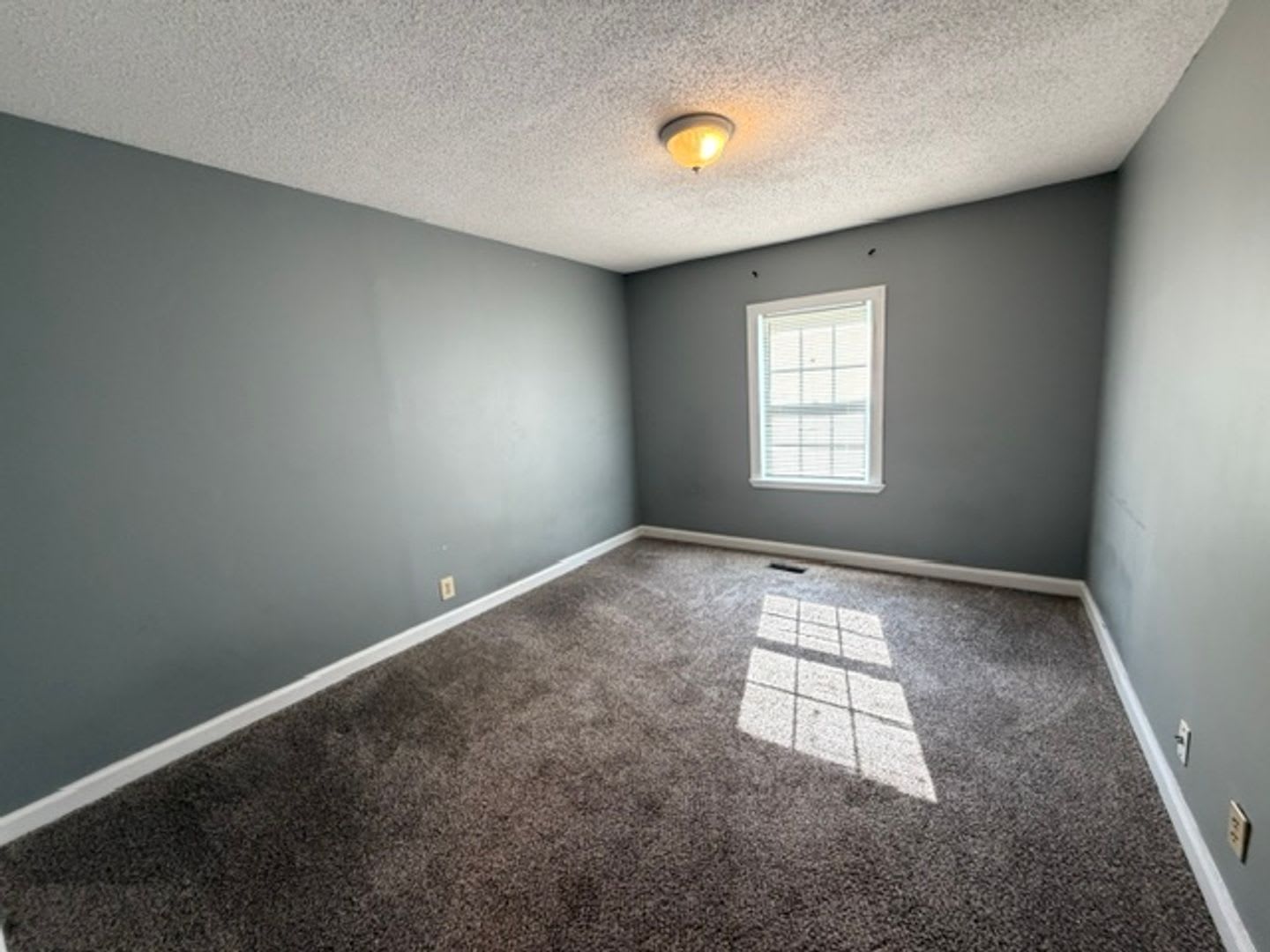 2 Bedroom 1 Bath house – photo 4