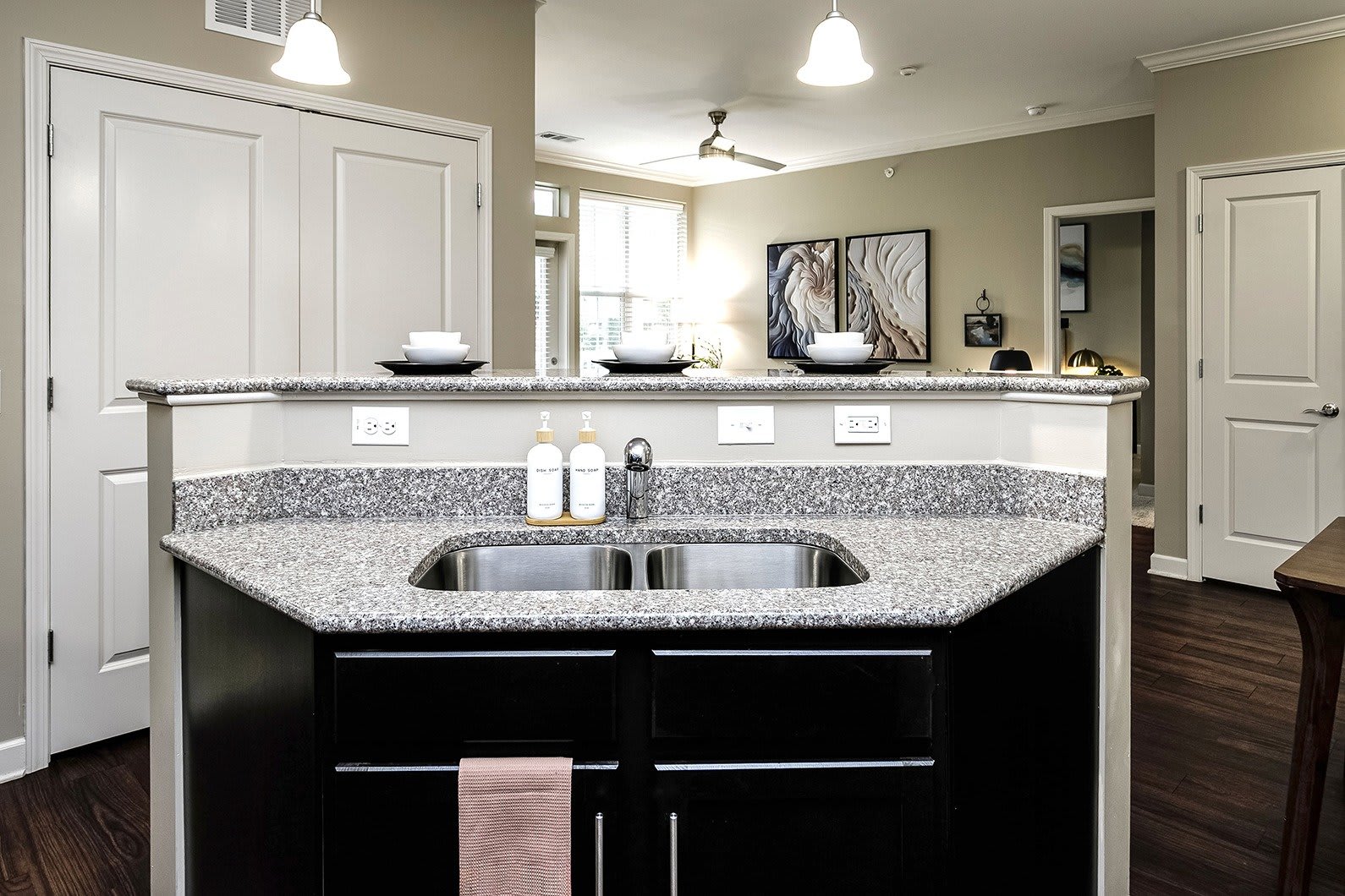 August Move In Special Beautiful Home With A Newly Finished Basement – photo 4