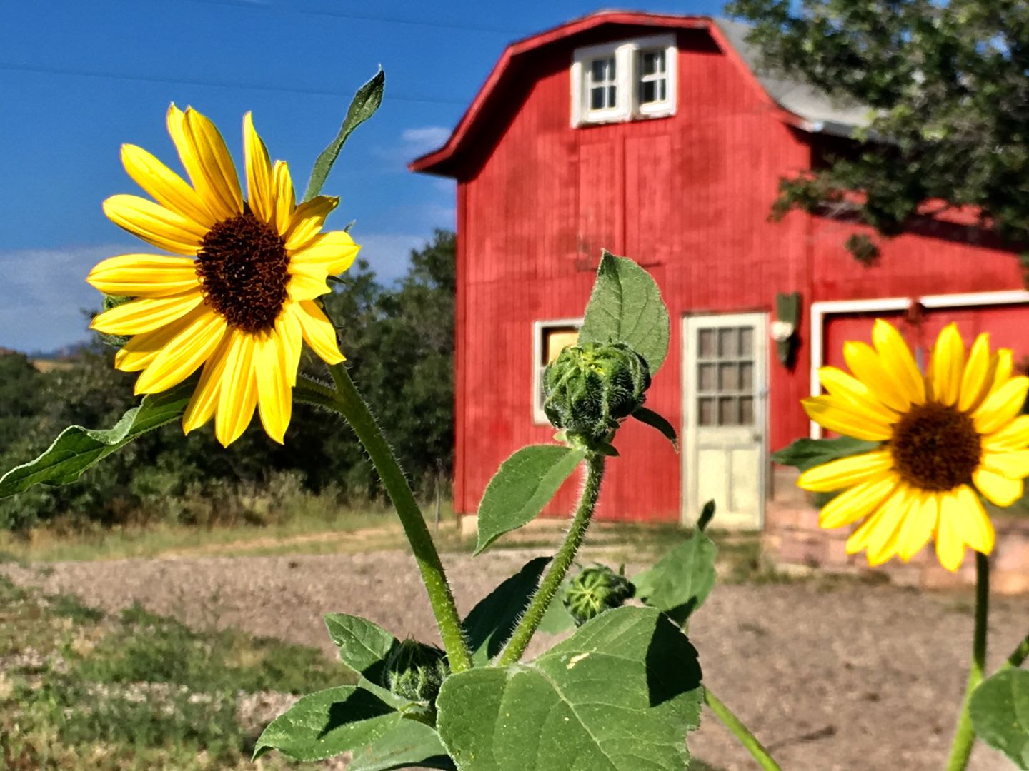 Short term 6-9 months only. Acreage Property in Sedalia – photo 1