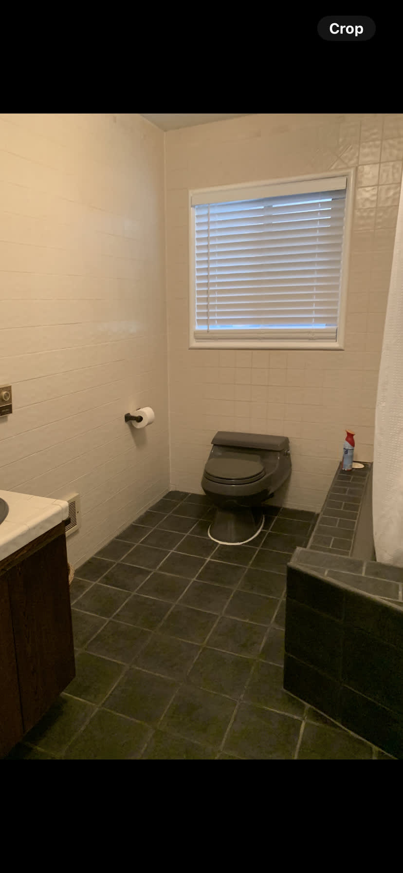 75 Parnassus Road – photo 4