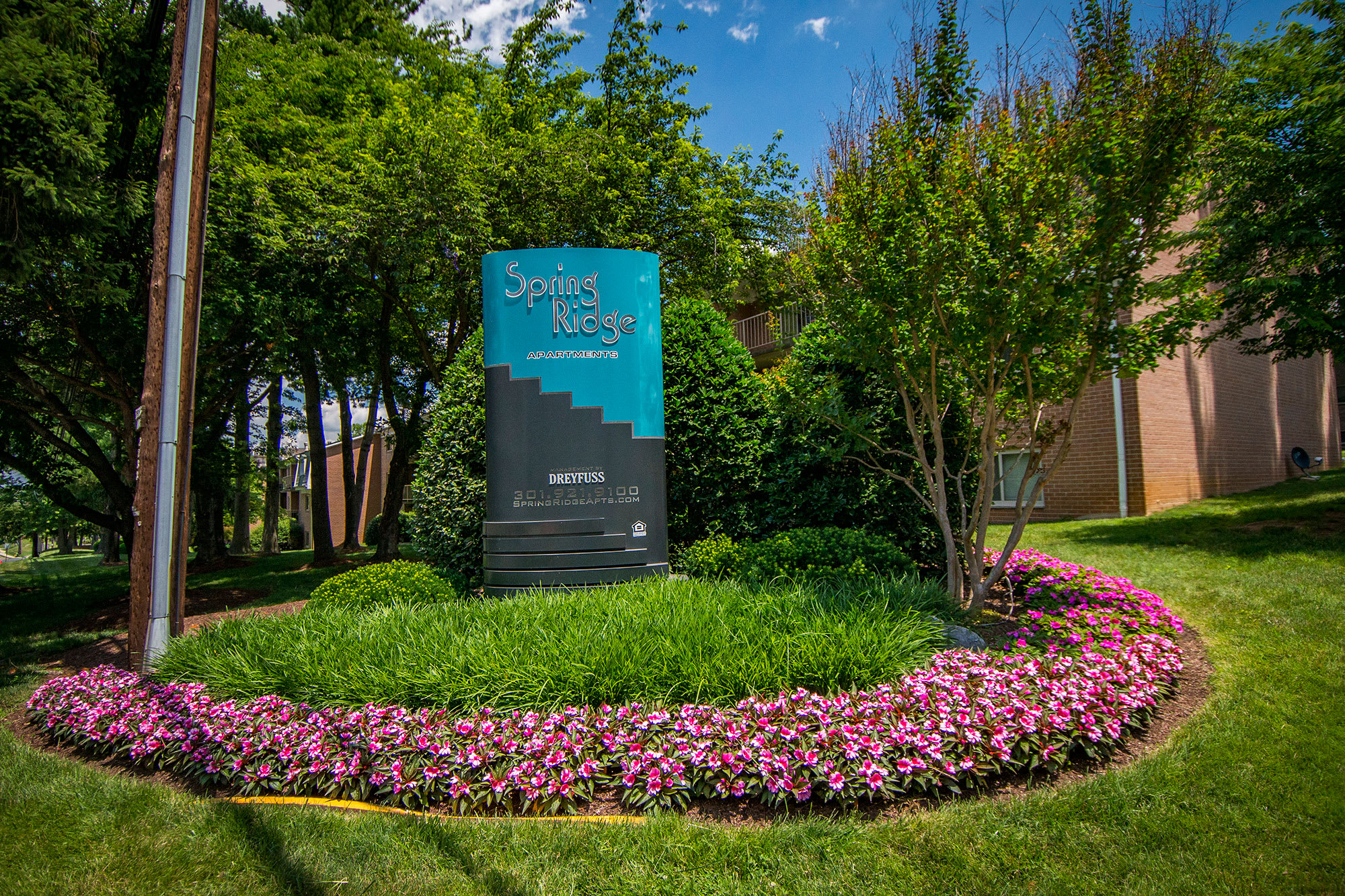 Spring Ridge Apartments – photo 5