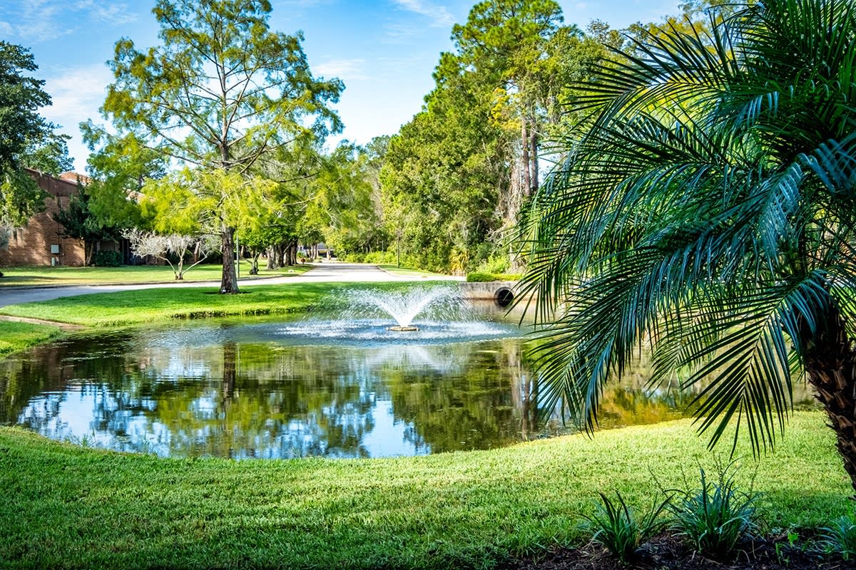 Woodlake Park Apartments – photo 2