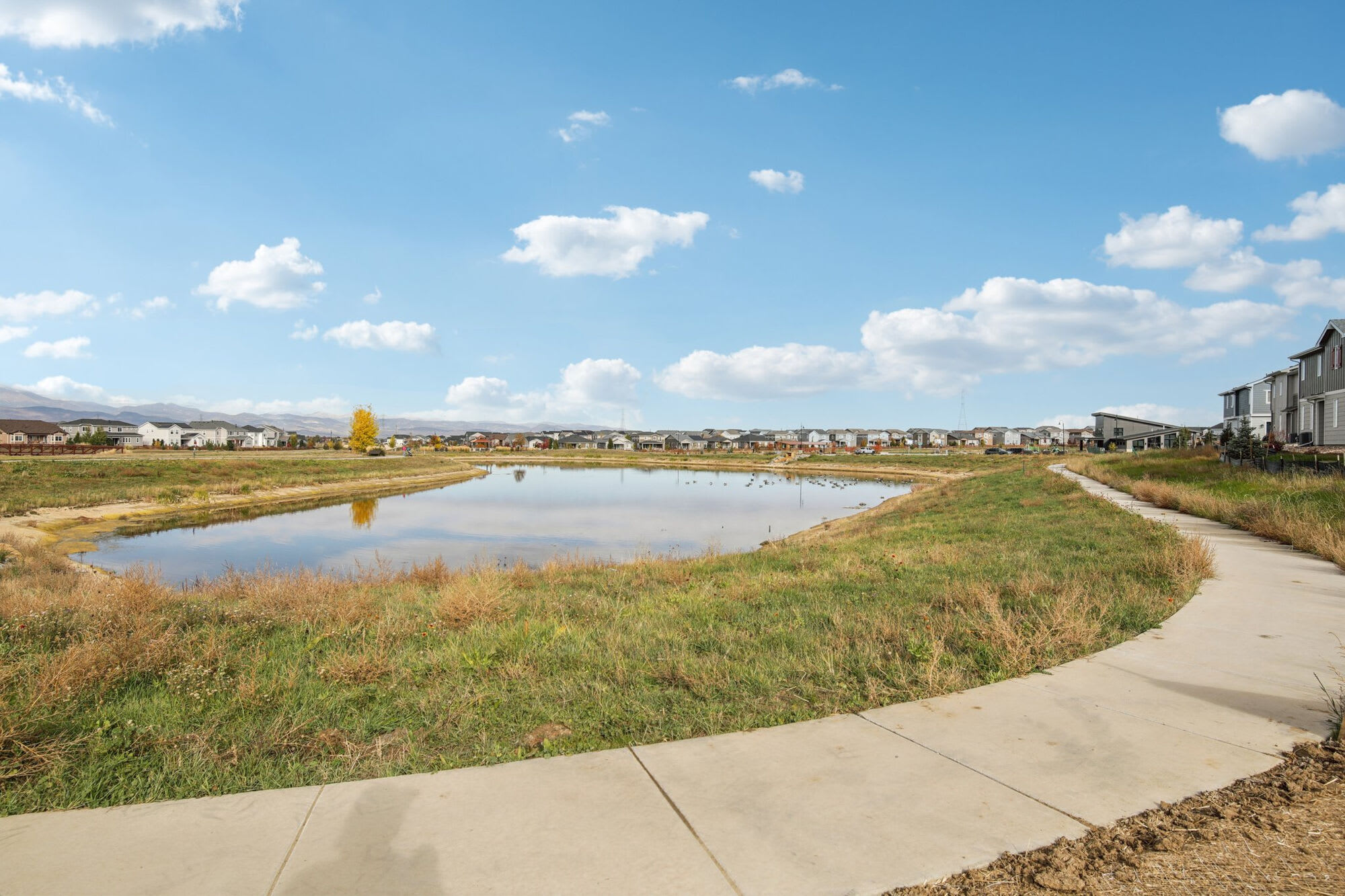 BB Living Colliers Hill – photo 5