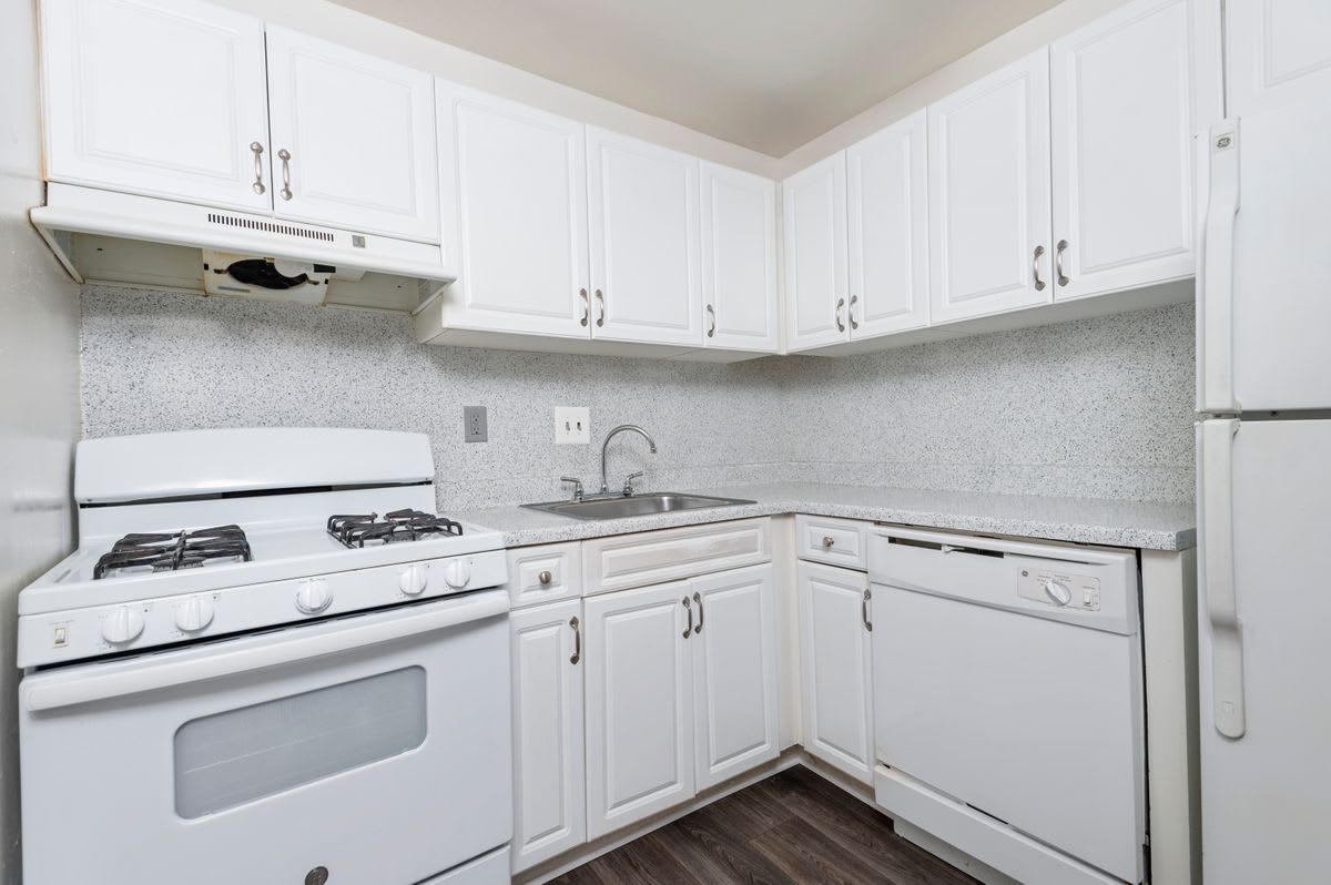 Berkdale Apartments – photo 5