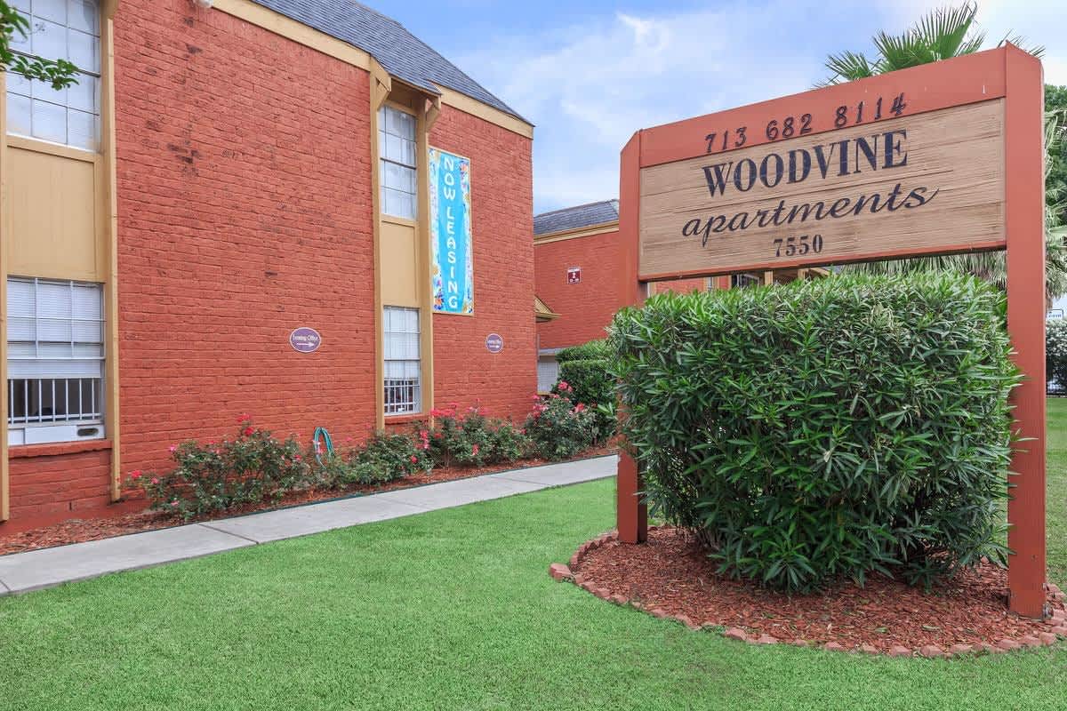 Woodvine – photo 4
