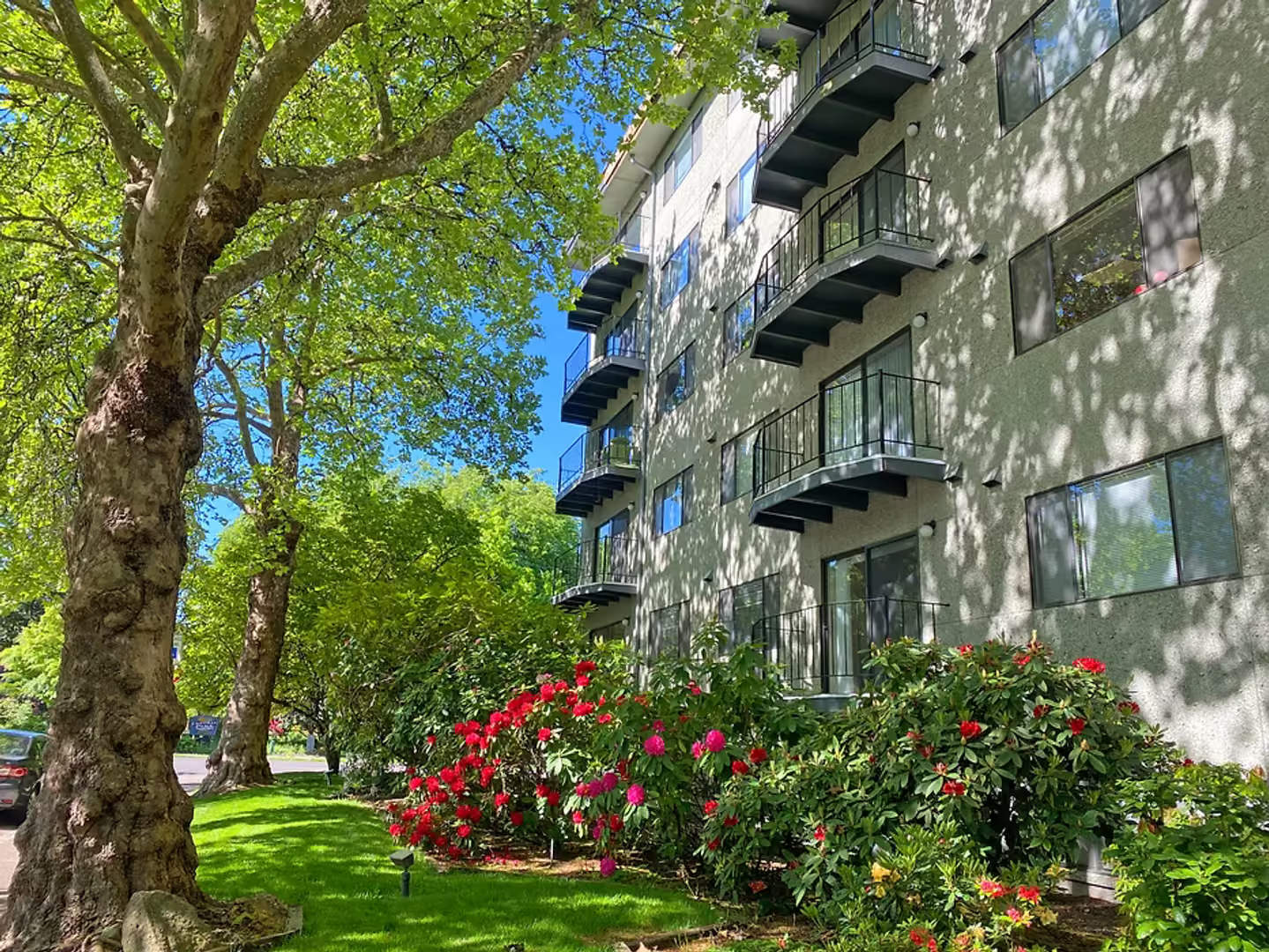 Park Plaza – photo 1