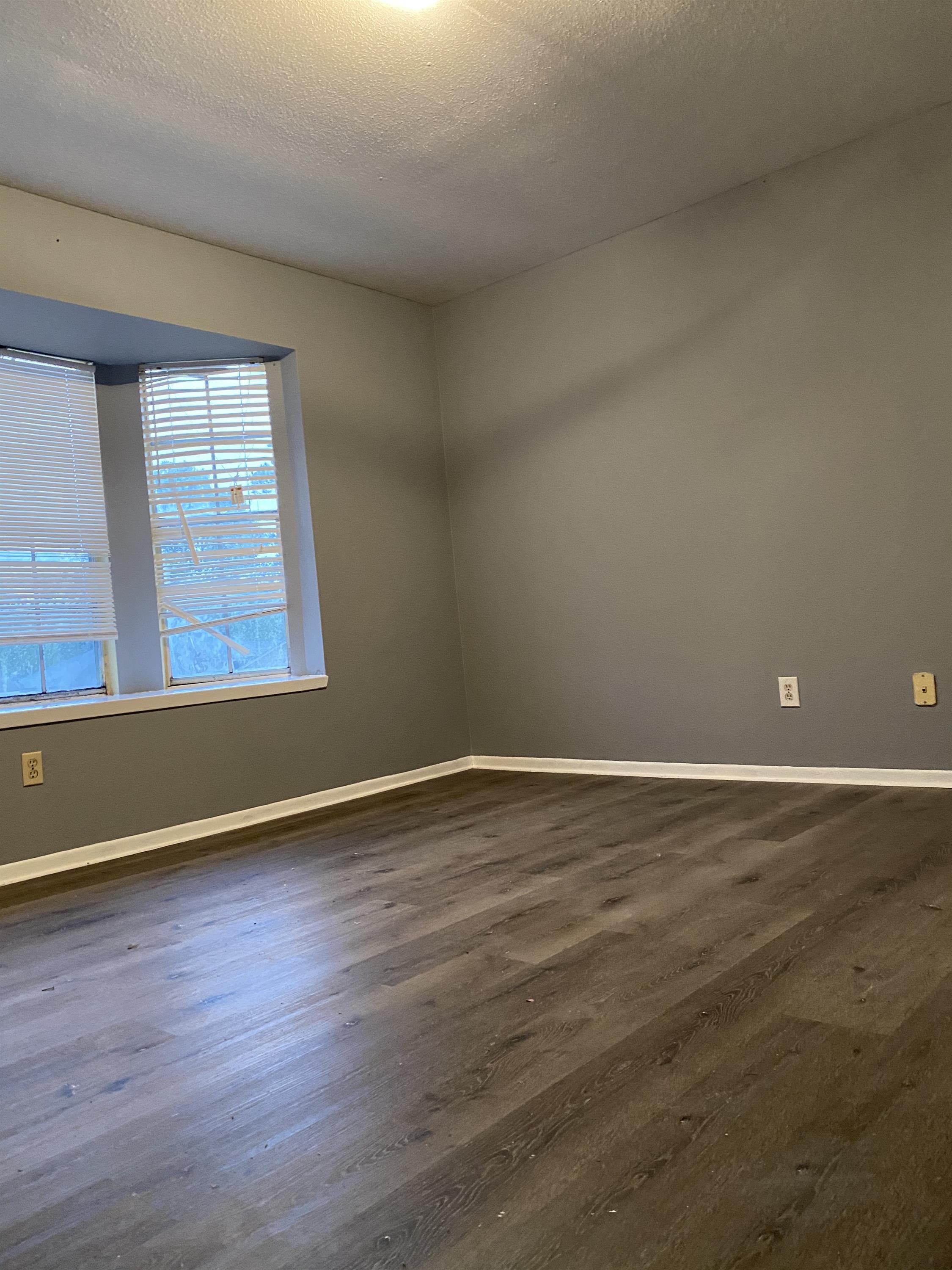 312 Rice Street – photo 4
