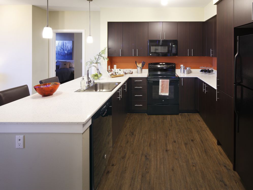 Avalon Alderwood – photo 5