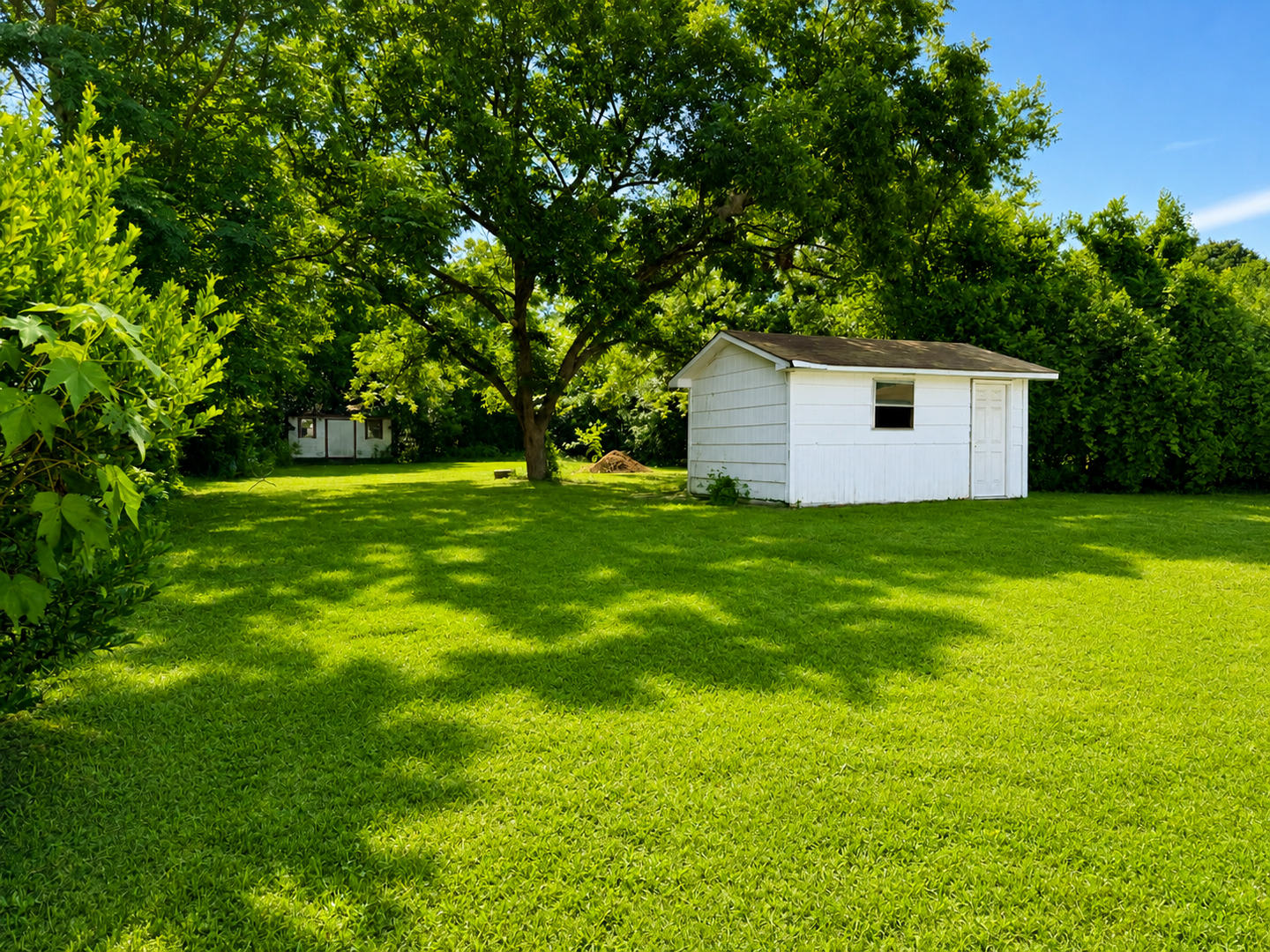 Pet Friendly Home in North Augusta SC – photo 4
