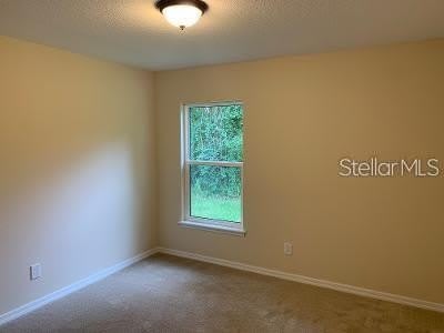 1295 12TH Street – photo 5