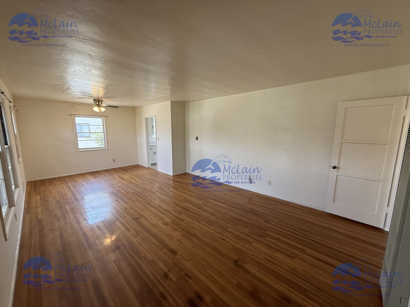 3 Bedroom Single Story Home In Belleview Heights – photo 4