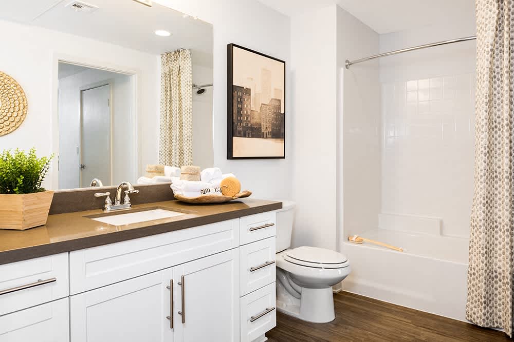 Apex Laguna Niguel – photo 4