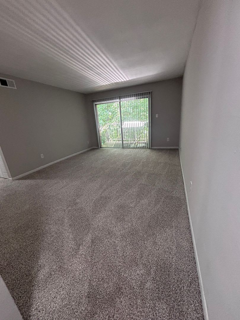 Spacious One Bedroom Available Close To University And Downtown Area – photo 3