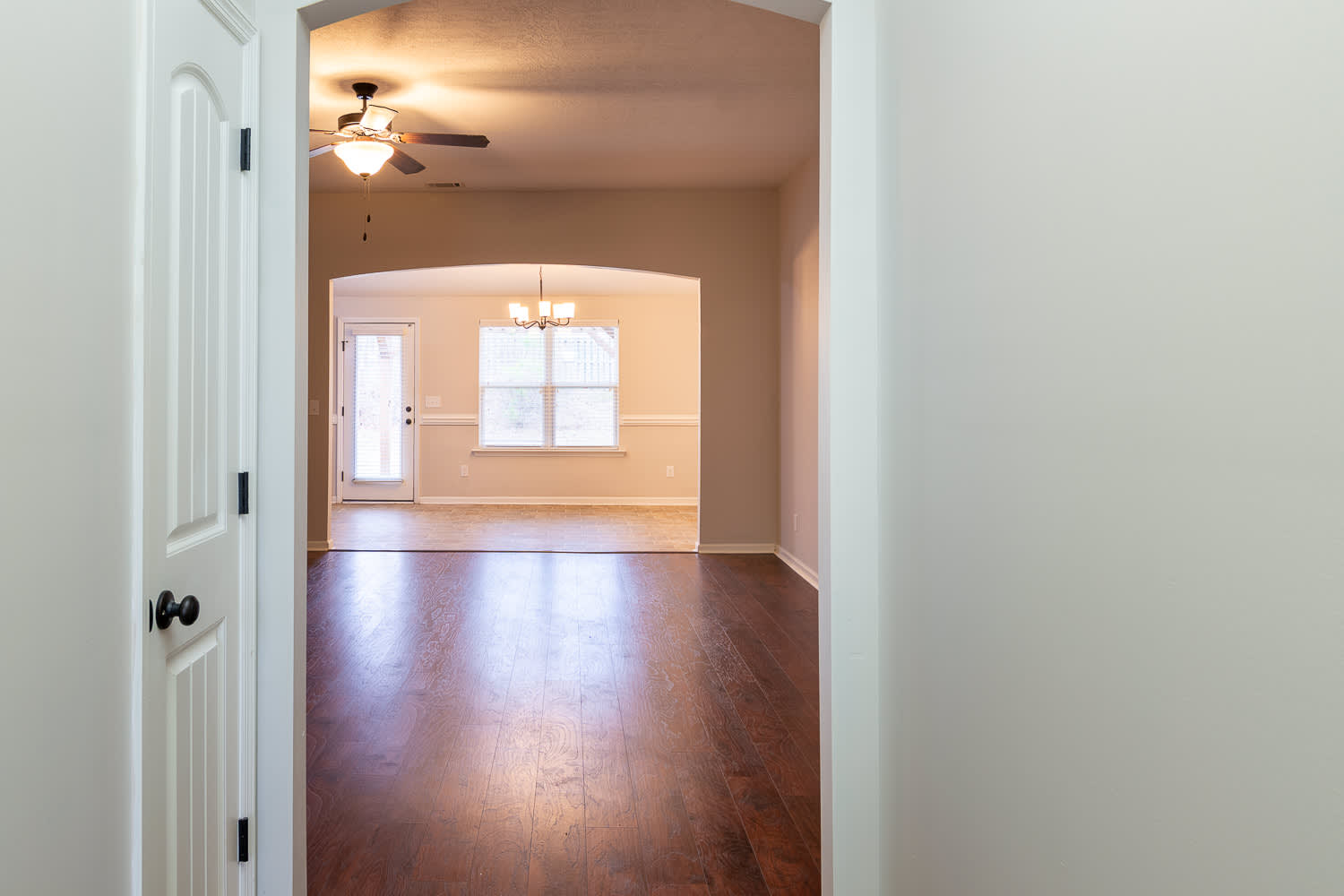 3237 Alexandria Drive – photo 4