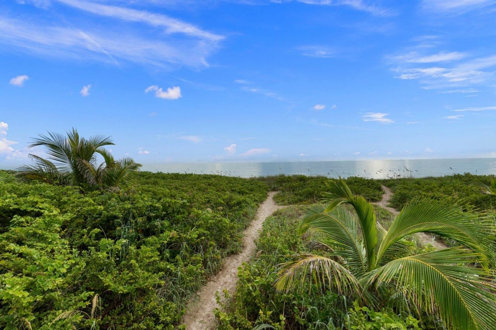 Winter Paradise Getaway – photo 4