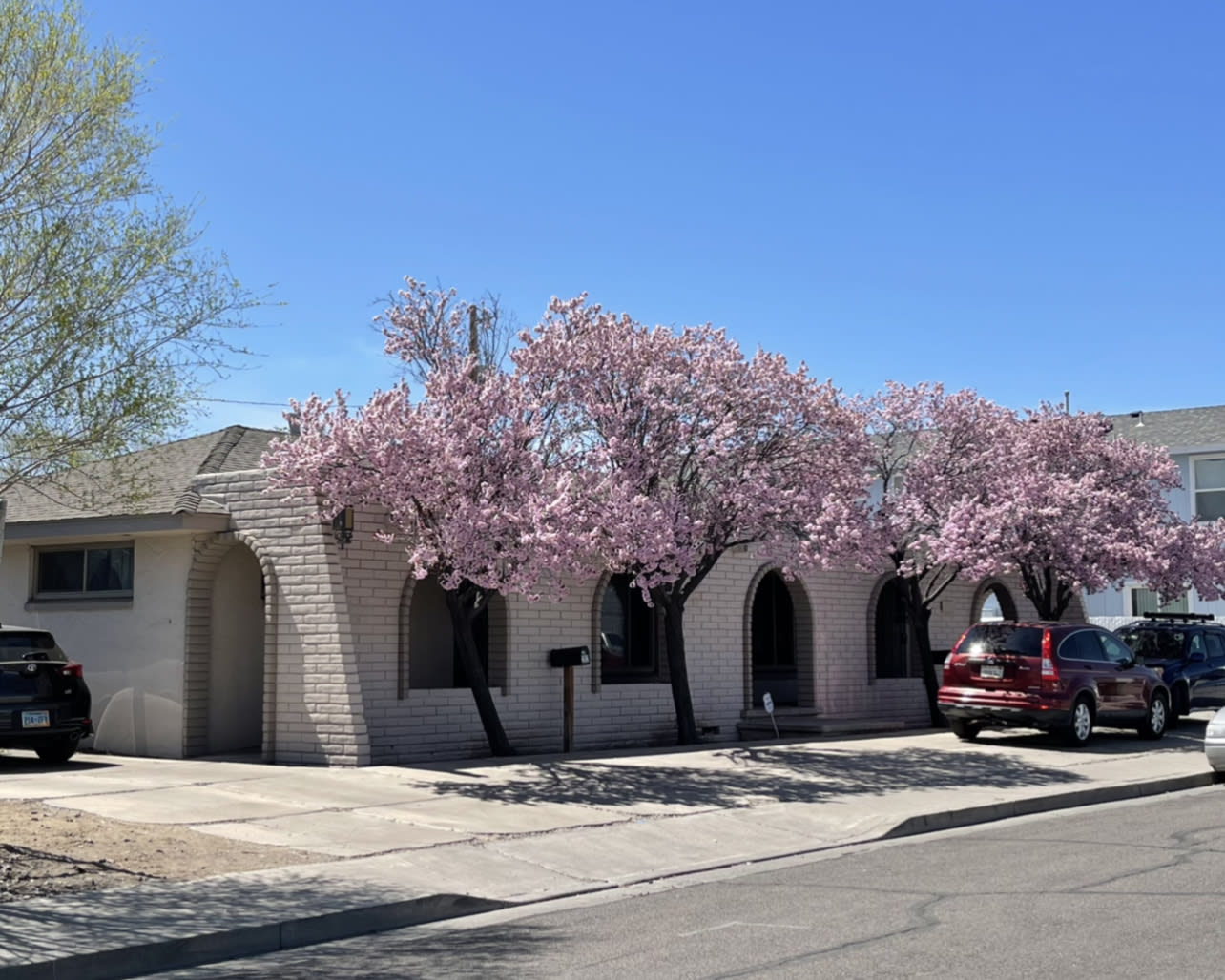 280 Gallaway Lane – photo 1
