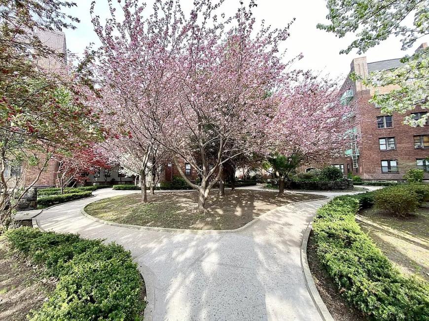 3451 Giles Place – photo 5