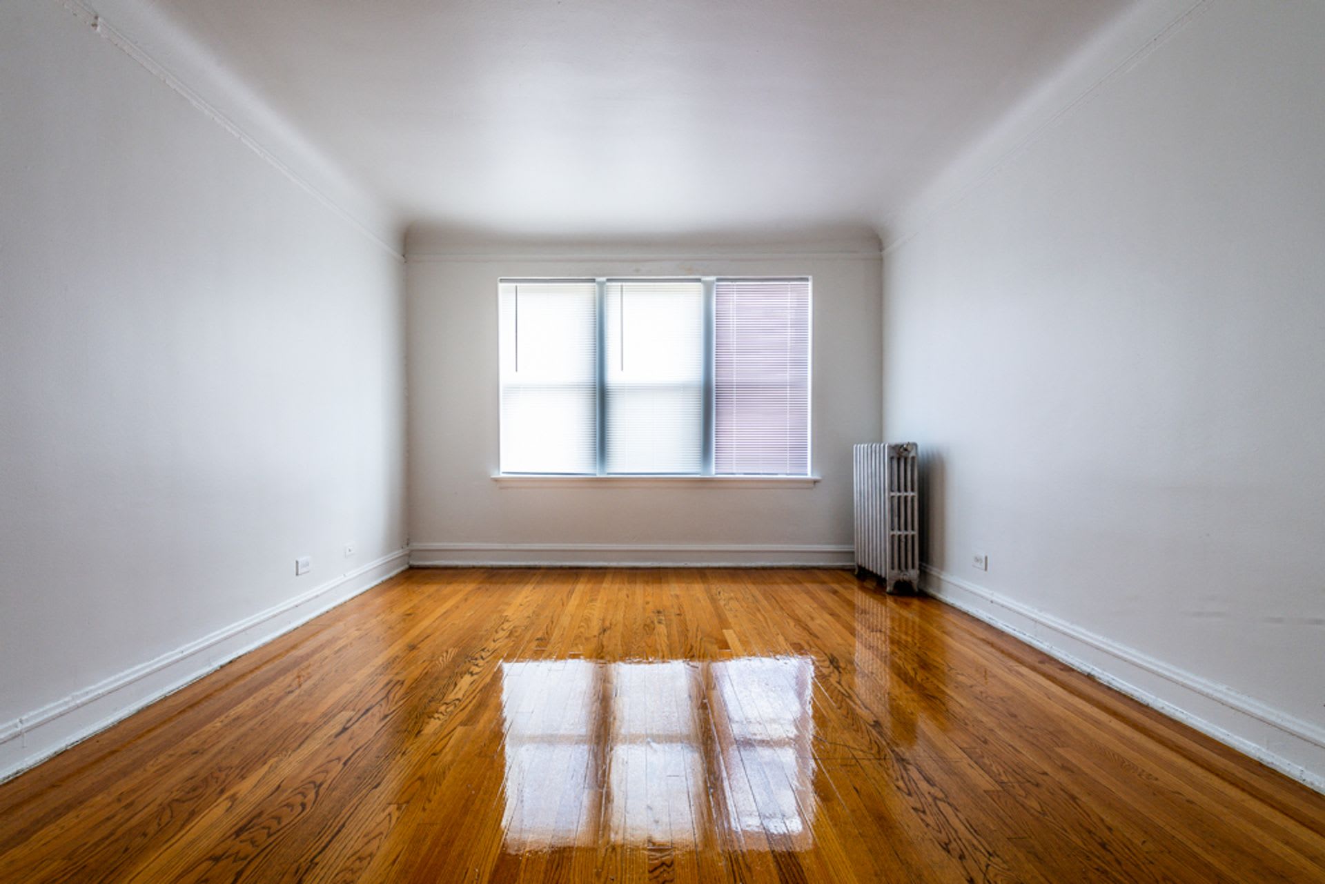 654 N Pine Ave – photo 3