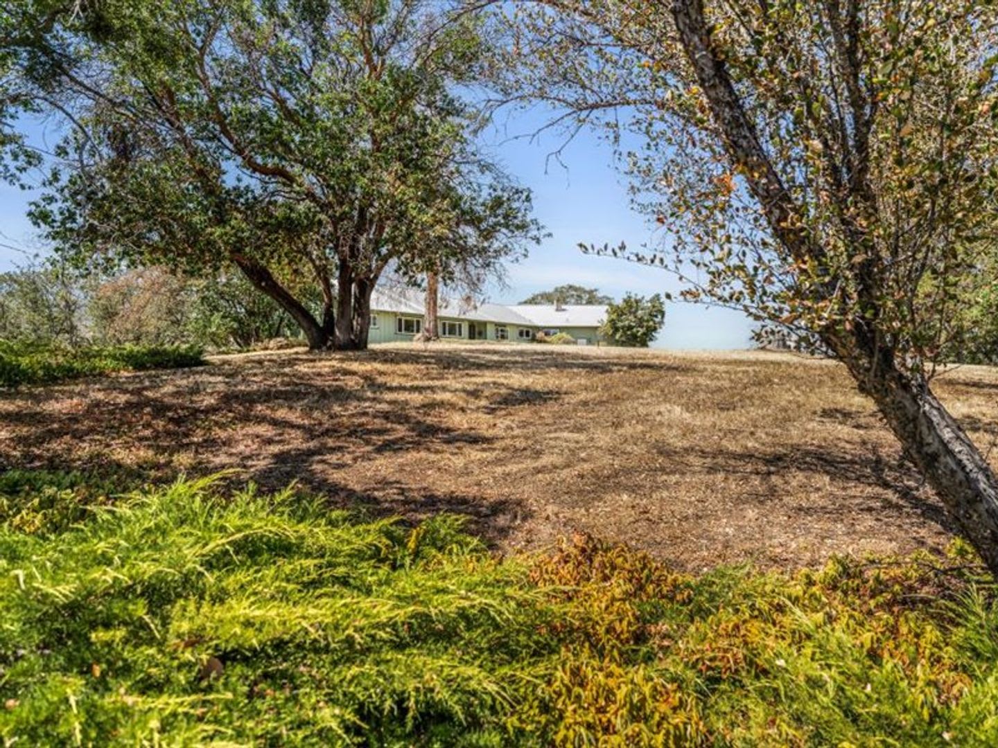Ranch style 3 Bed 3 Bath home on 87 acres – photo 2