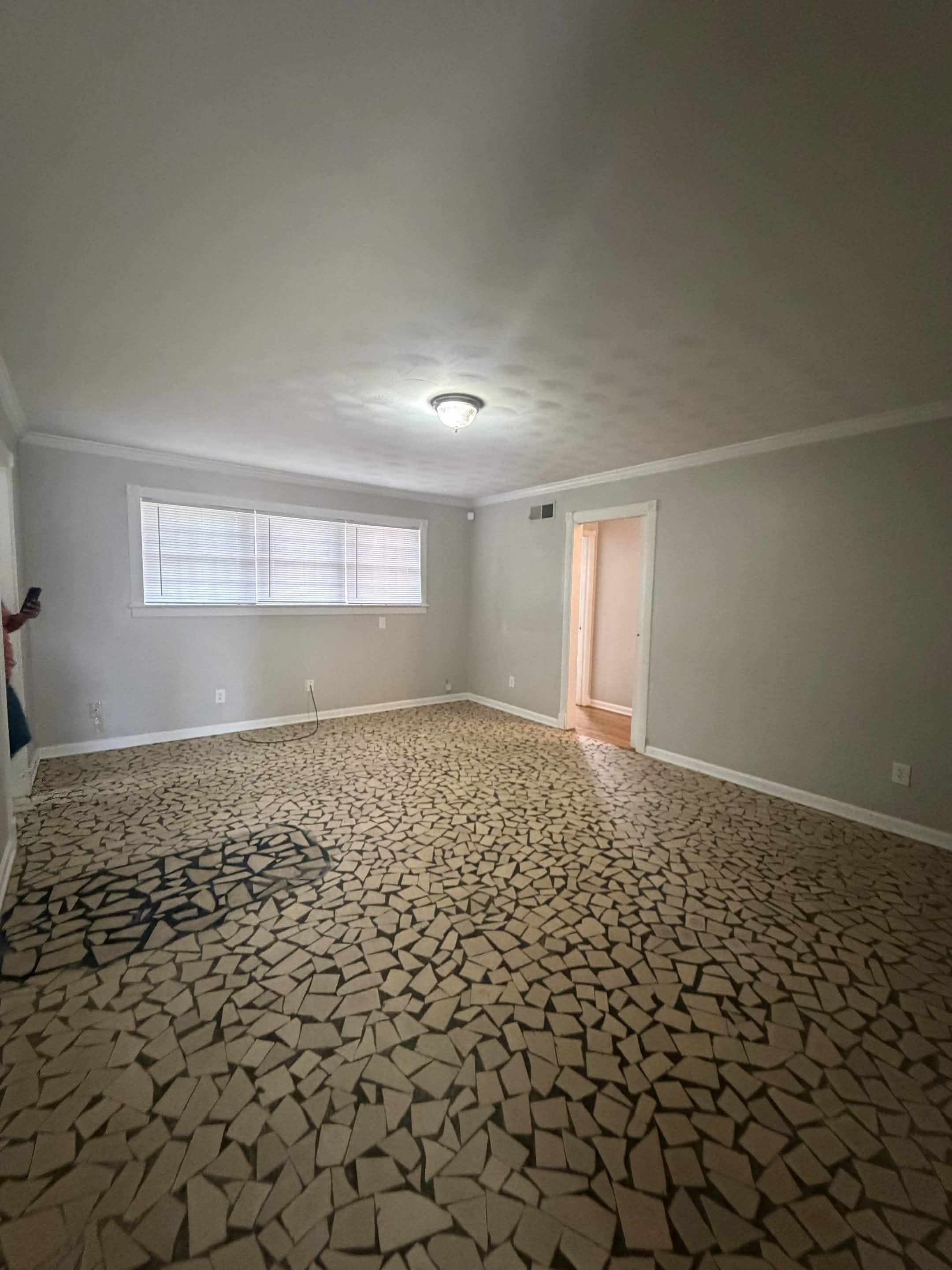 5150 Fernleaf Avenue – photo 4