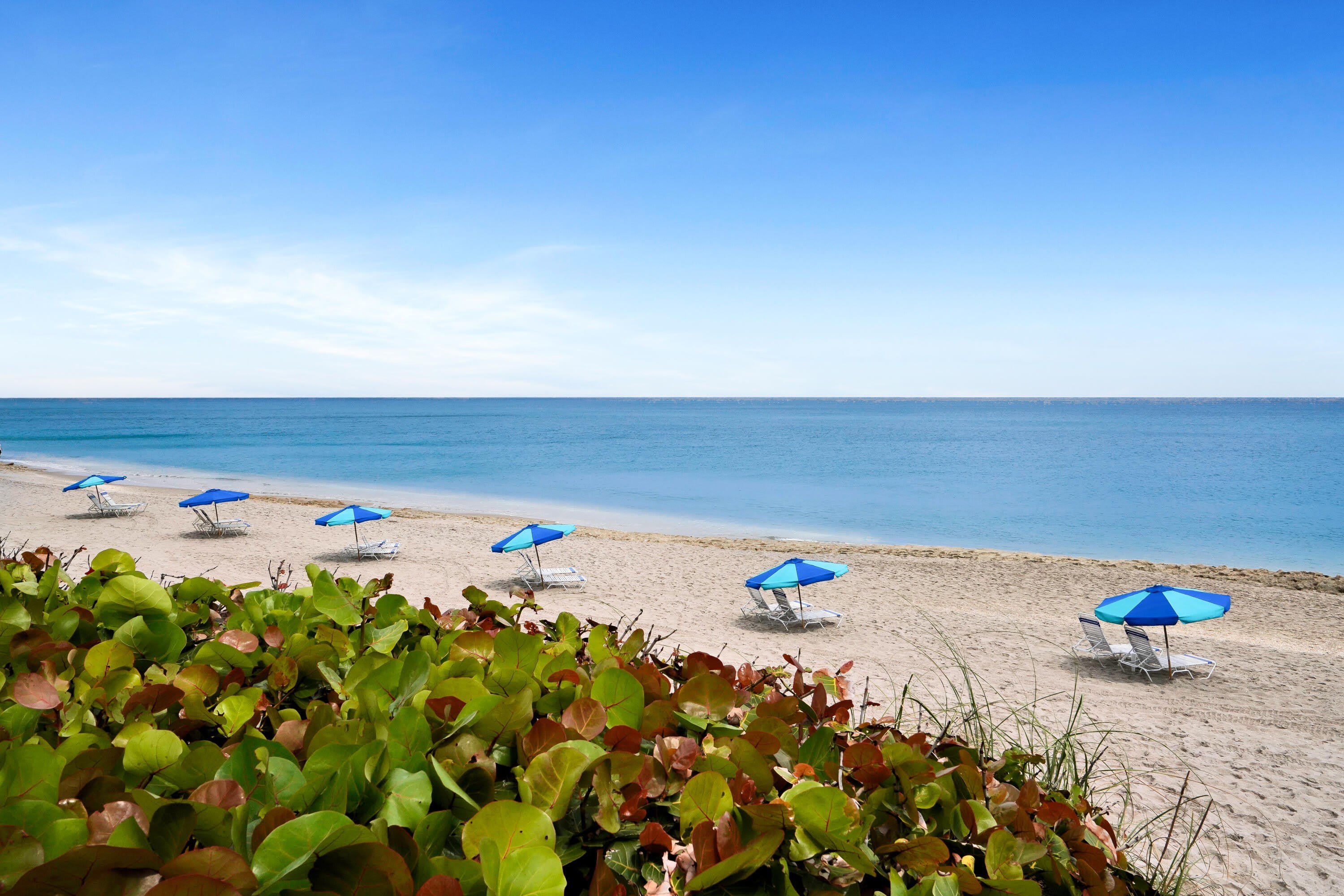 4100 N Ocean Drive – photo 5