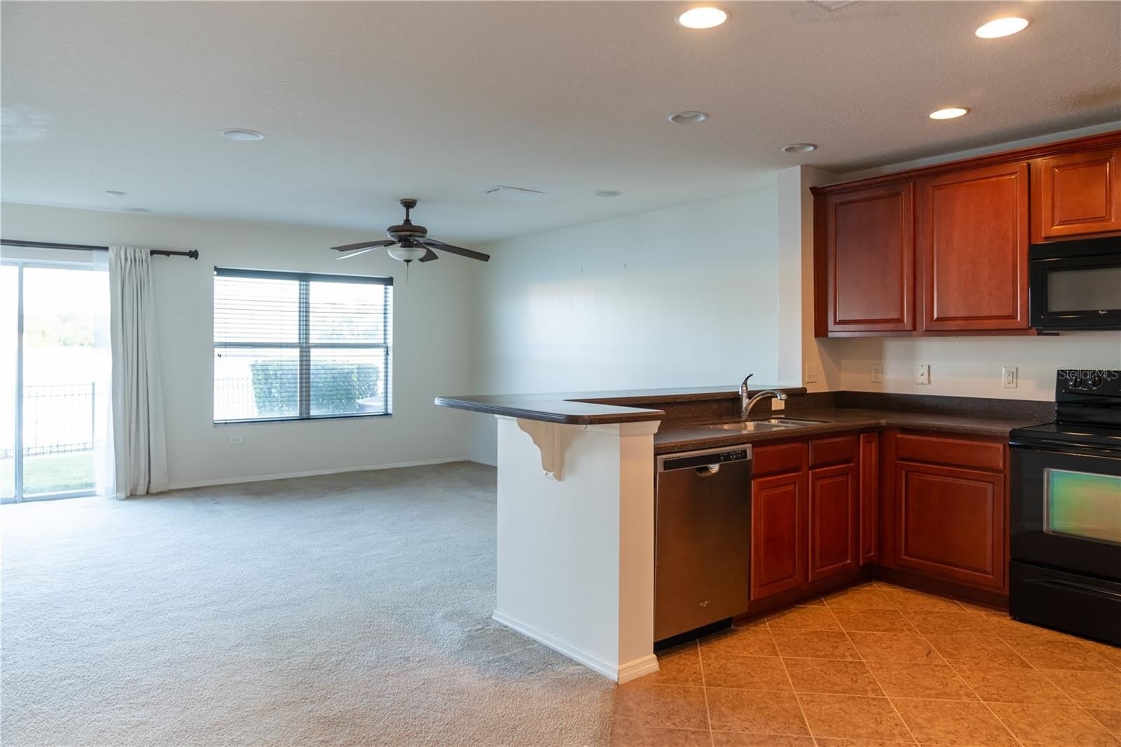 3733 EAGLE PRESERVE Point – photo 4