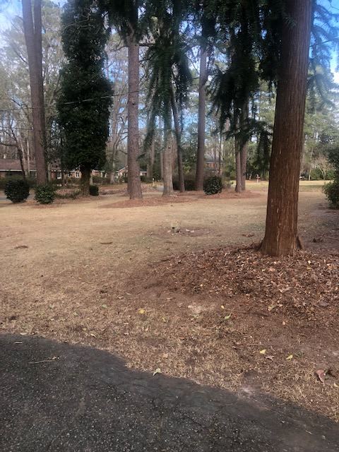 2207 Stallings Drive – photo 3