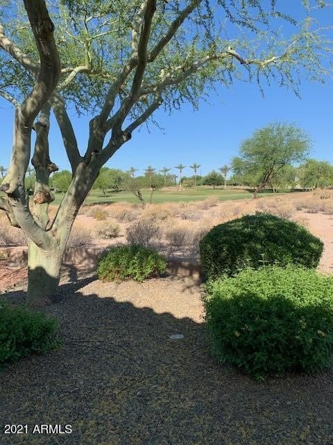28110 N 123rd Lane – photo 3