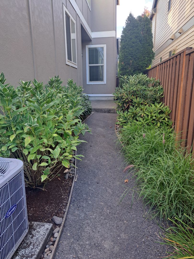 3 bedroom Bethany Area – photo 4