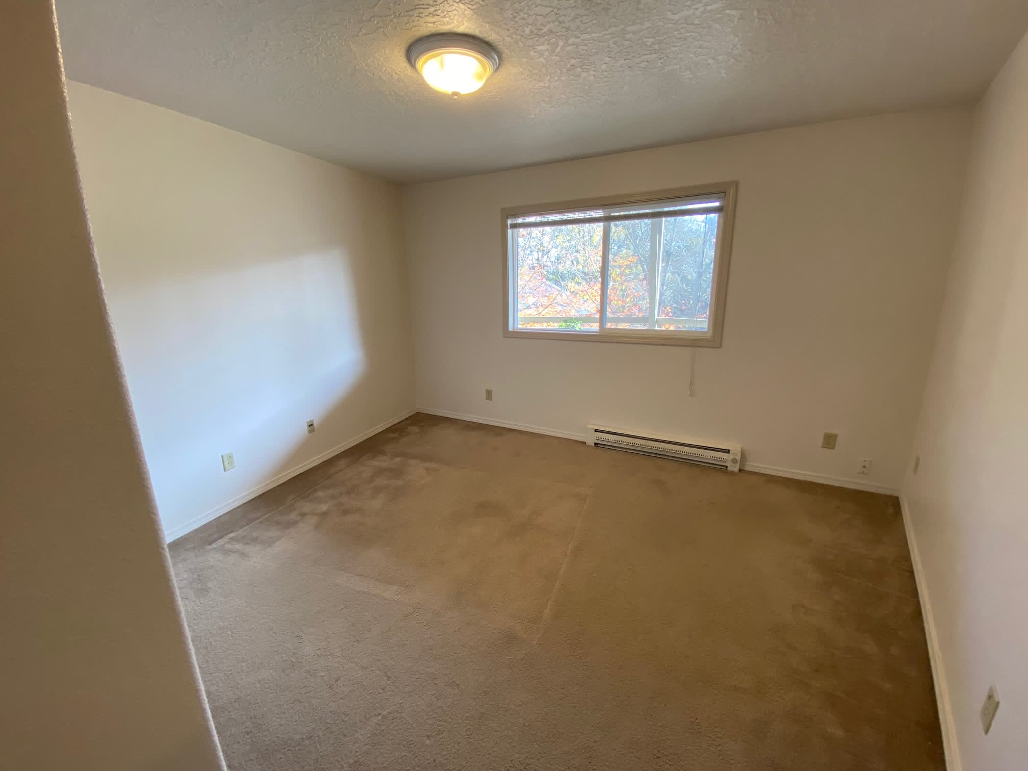 365 Madrona Ave. SE #C-3 – photo 5