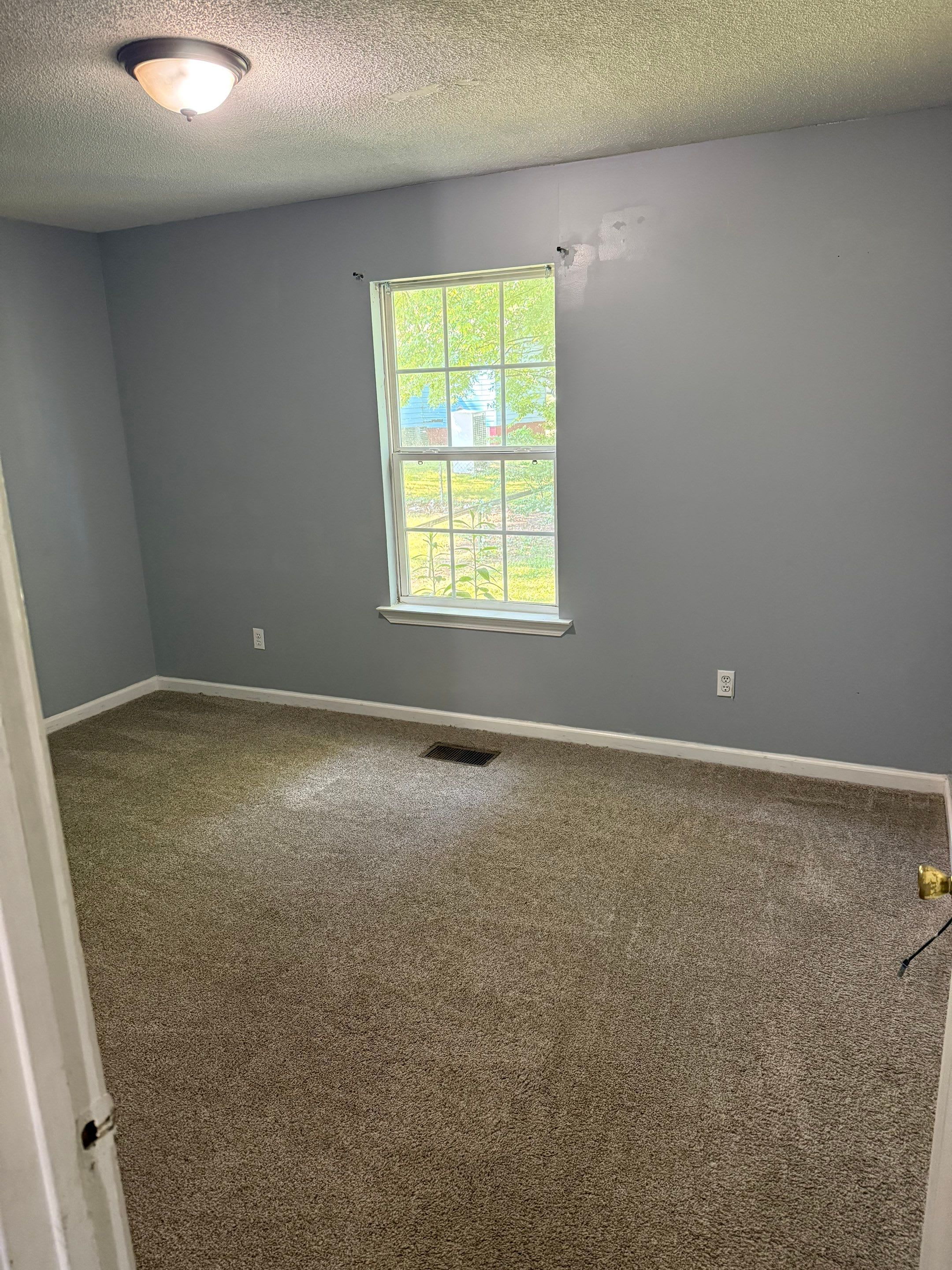318 Hill Avenue – photo 3