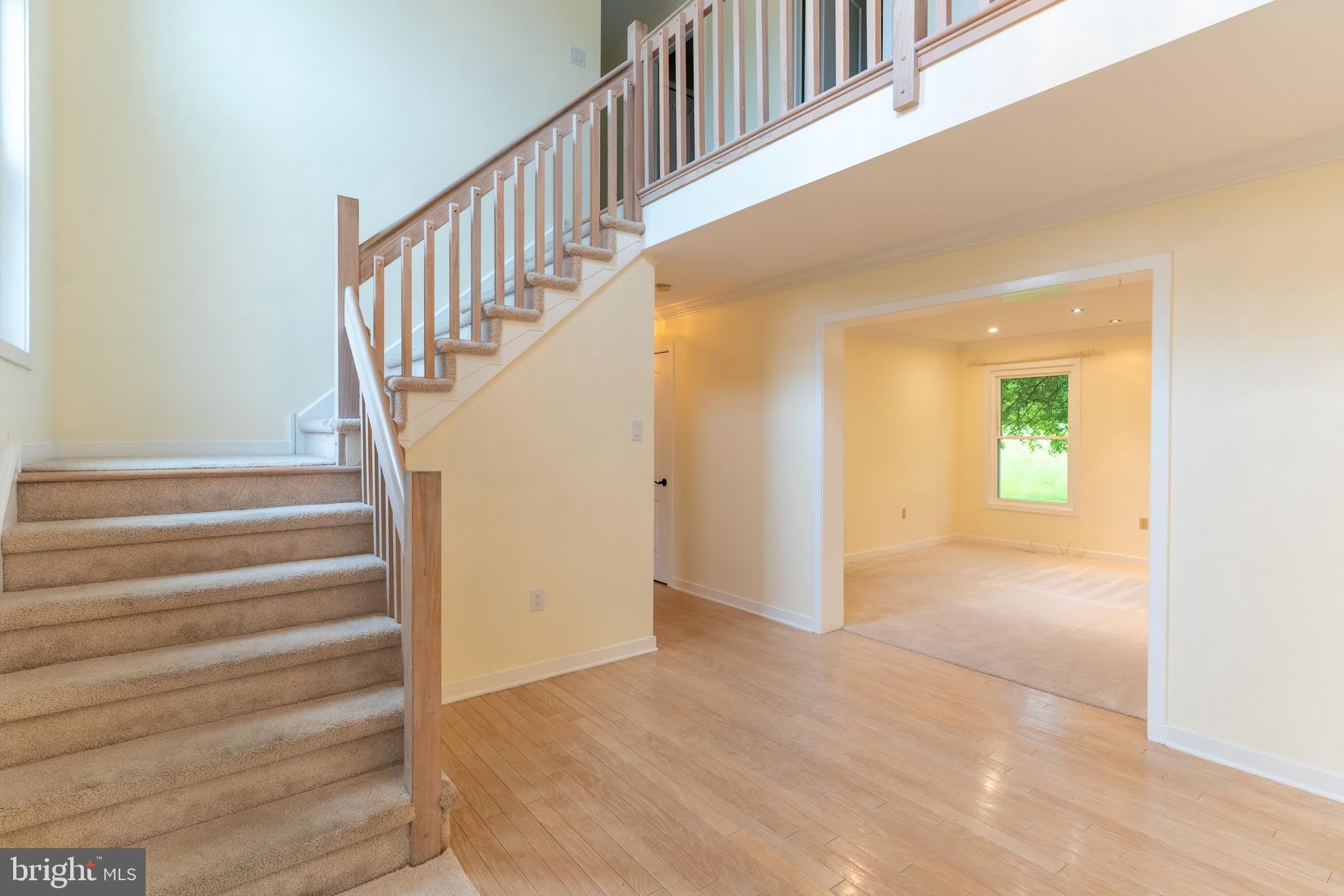 56 W Windrose Drive – photo 3