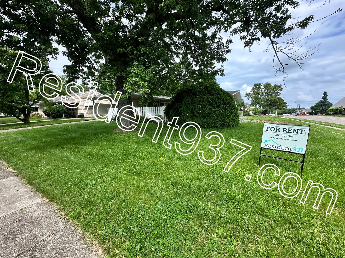 Updated 3 Bed 1 bath Home – photo 3