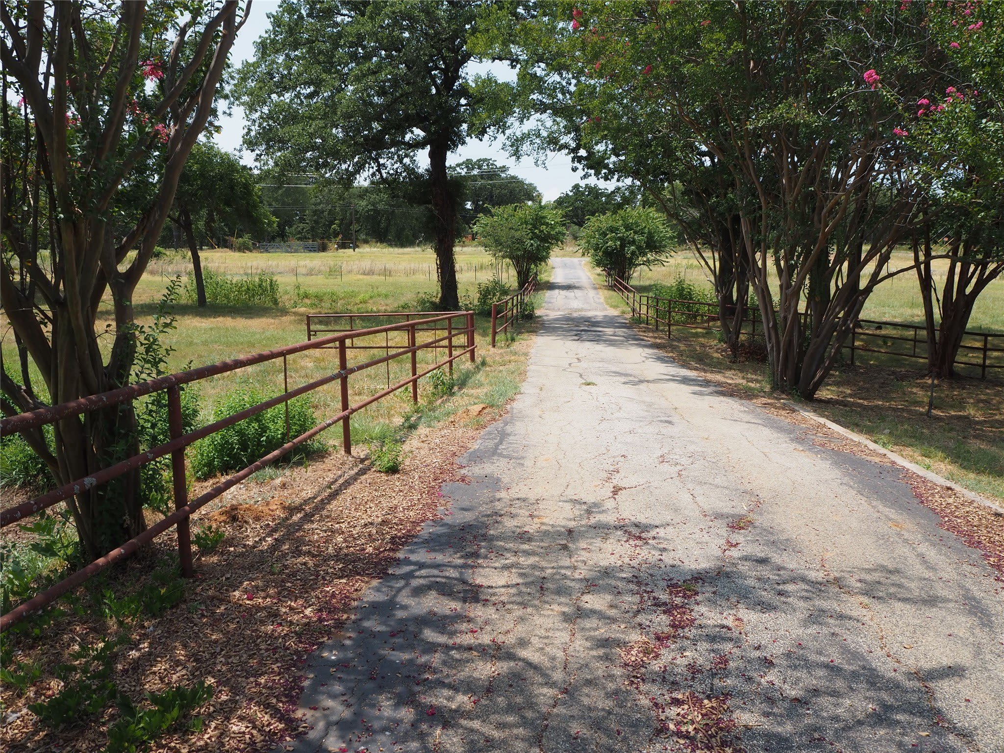 7118 FM 2931 – photo 1