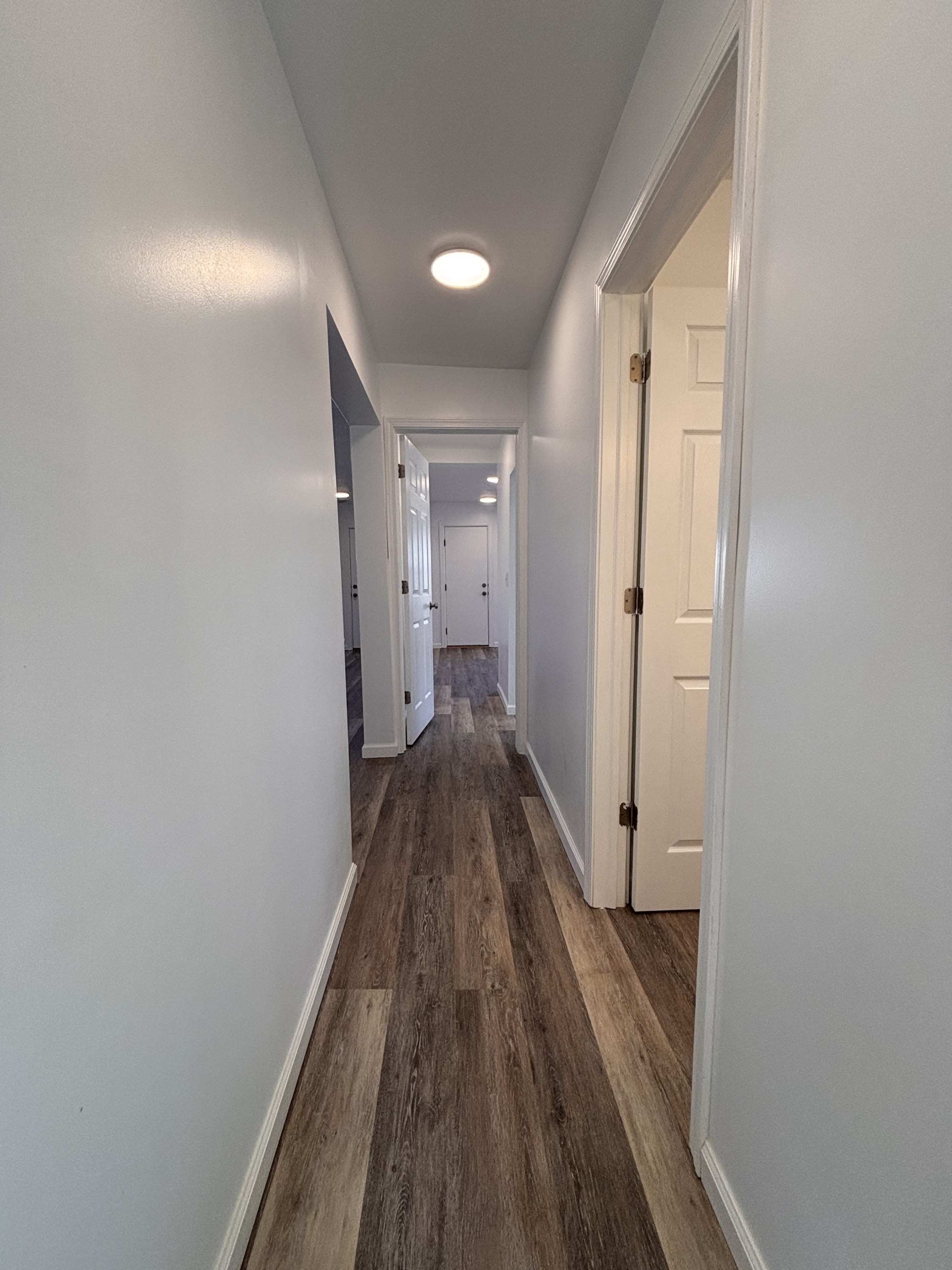 1004 E Delmar Street – photo 3