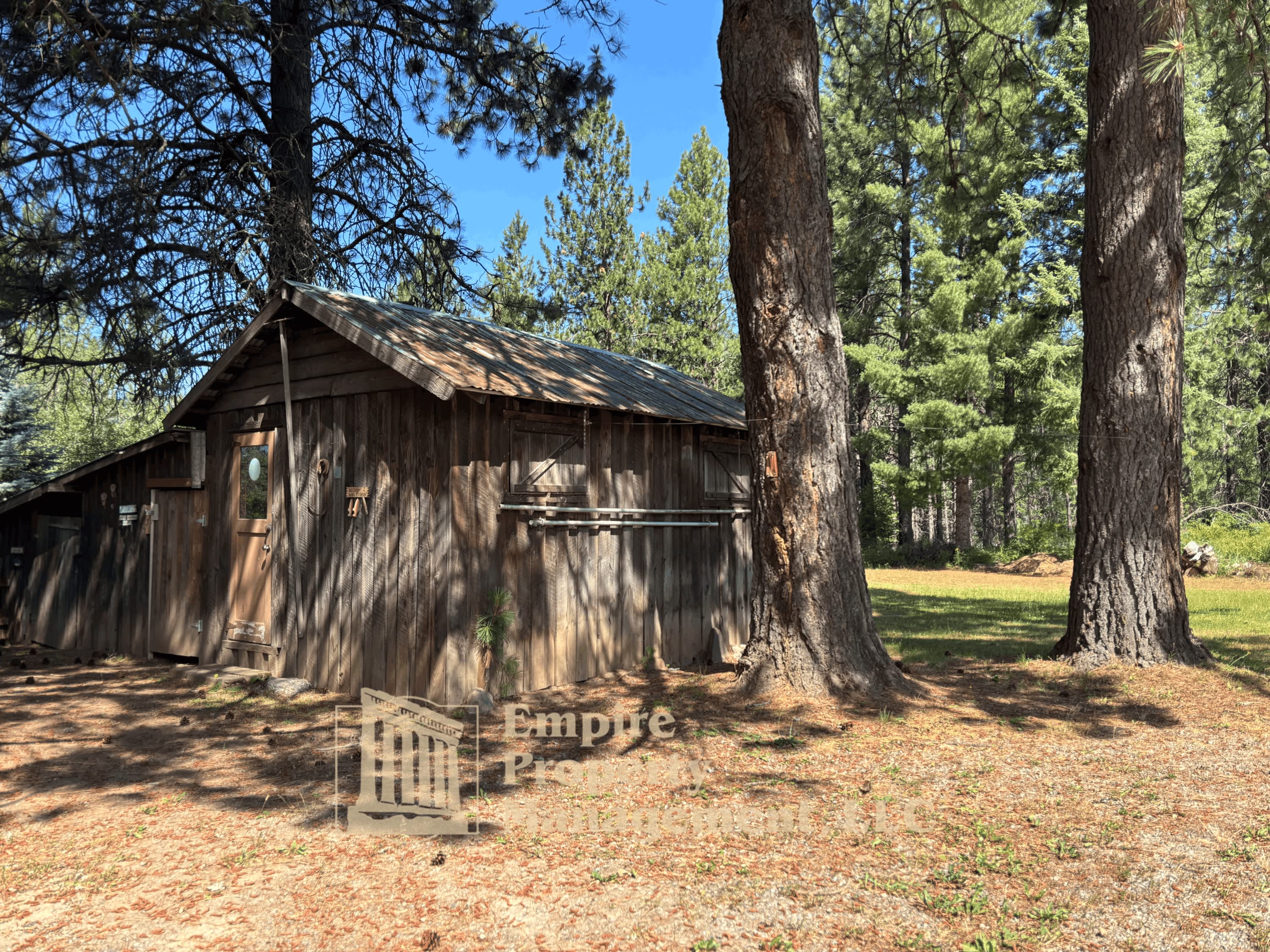 10239 Baldy Mountain Road – photo 4