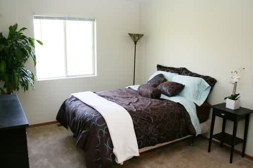 Terrace Park Apartments – photo 3