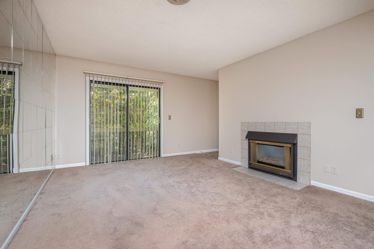 Lovely South Asheville Condo – photo 4