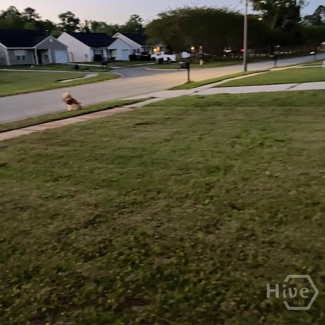 685 Rushing Street – photo 3