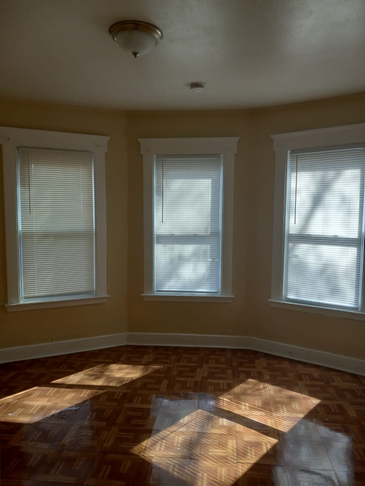 48 Hurlburt Street – photo 1