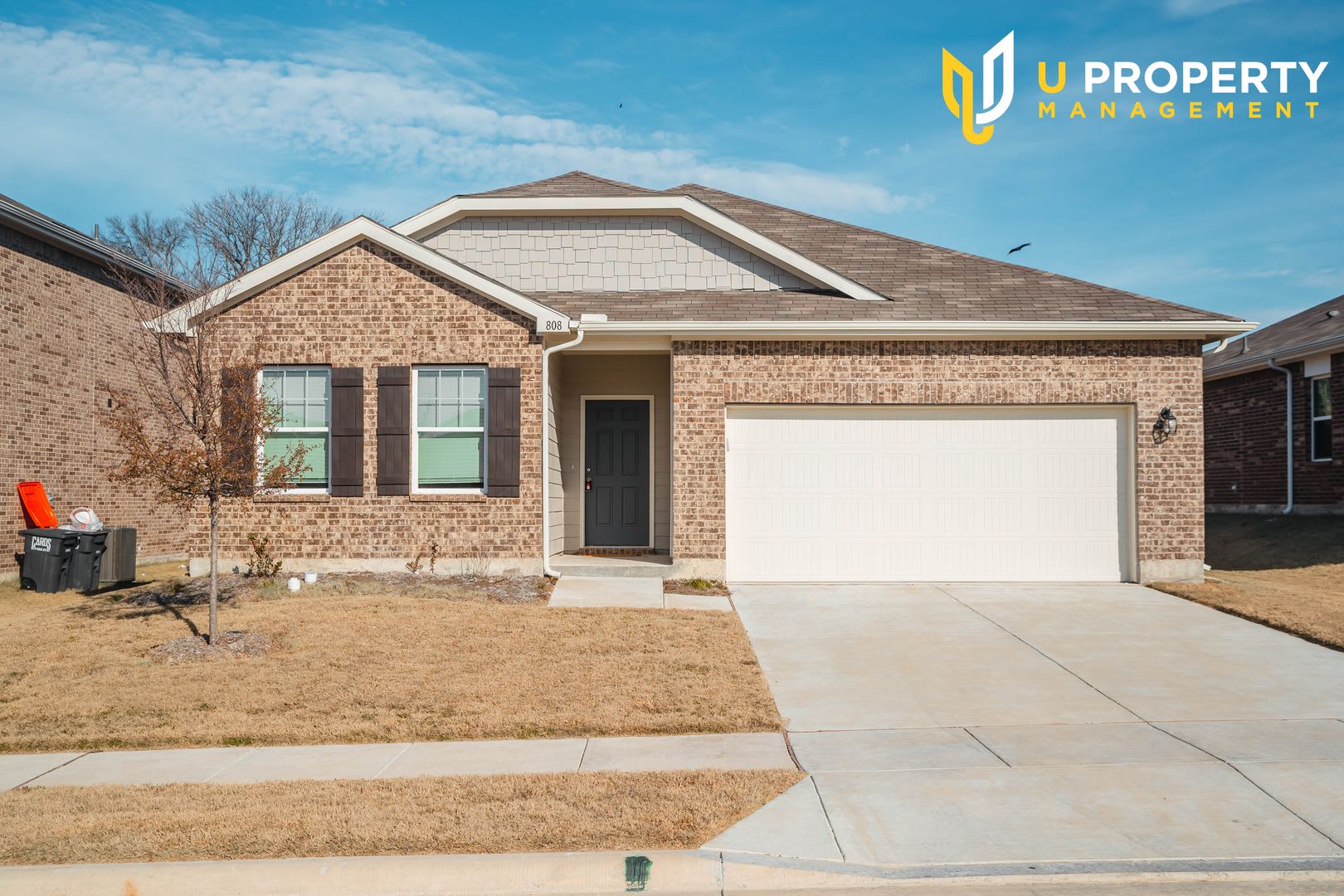 Beautiful Single-Story Home in Anna’s Pecan Grove Community – photo 1