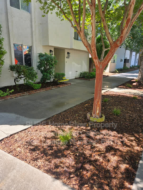 1620 F St – photo 2