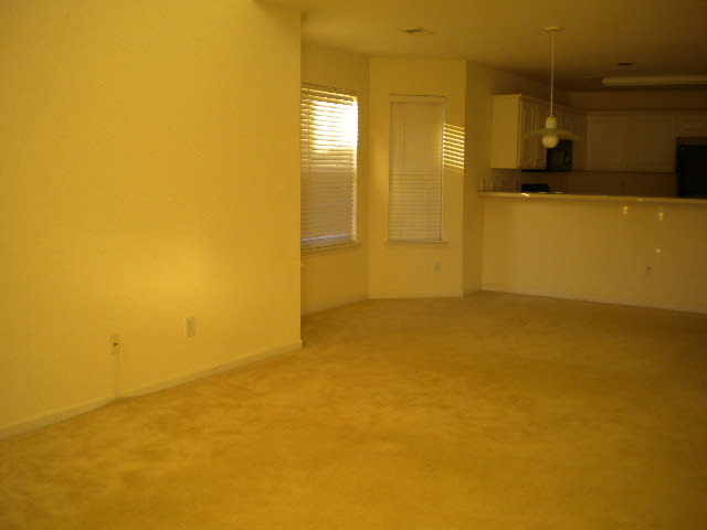 1041 Stoney Falls Blvd – photo 4