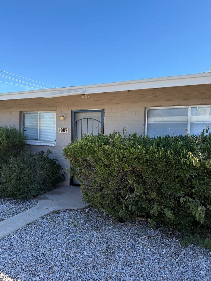 1007 East Silver Street – photo 1