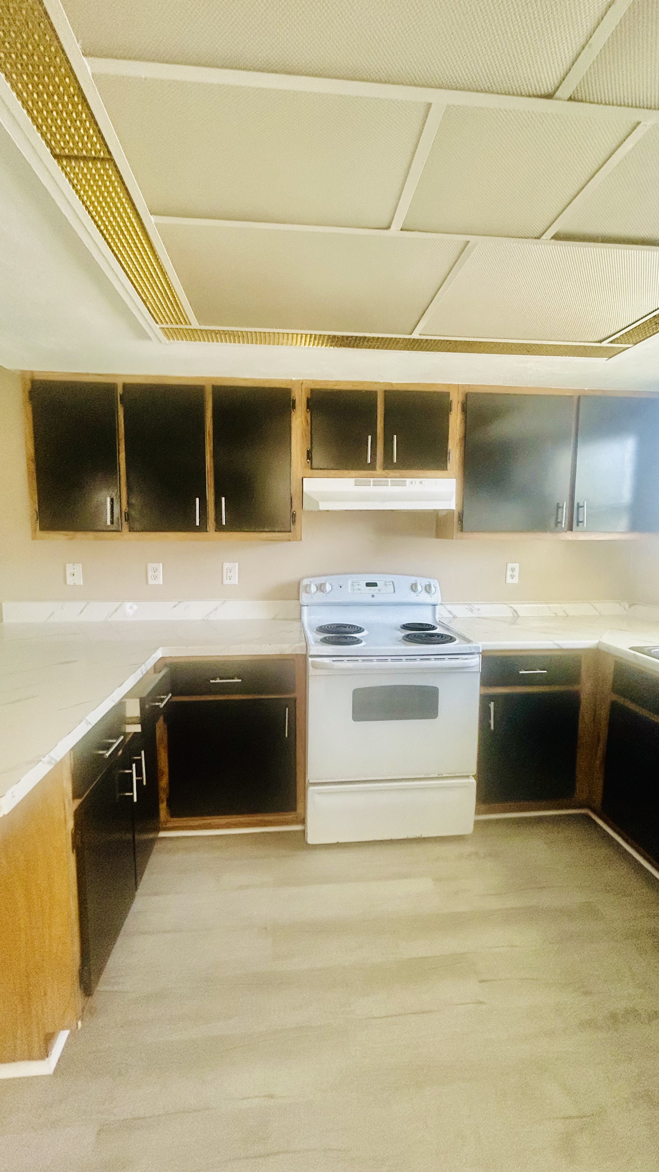 3605 Skyline Blvd – photo 4
