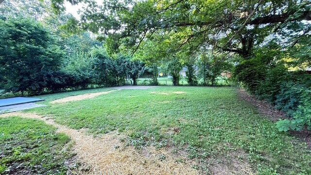 10221 Ridgefield Drive – photo 2