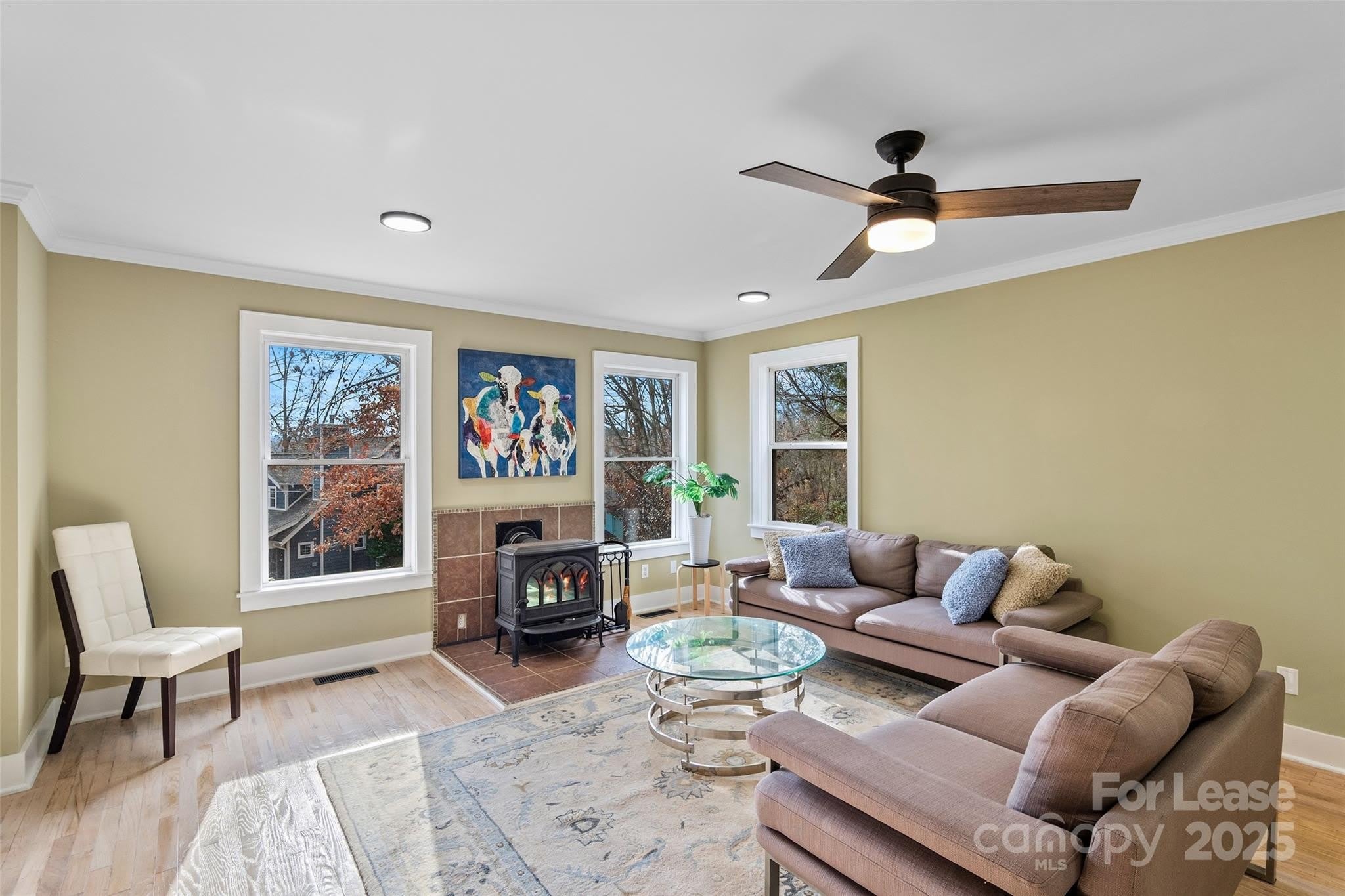 5 Elmore Street – photo 5